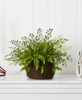 Nearly Natural Mixed Fern with Twig & Moss Basket