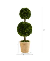 Nearly Natural 2.5ft. Preserved Boxwood Double Ball Topiary Tree in Decorative Planter