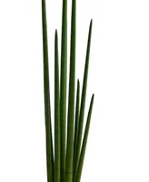 3.5' Sansevieria Snake Artificial Plant