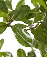 Nearly Natural 6' Black Olive Silk Tree