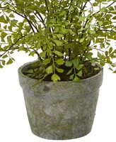 Nearly Natural Maiden Hair Artificial Plant in Decorative Planter