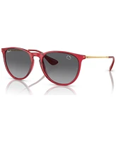 Ray-Ban Women's Polarized Sunglasses, RB4171 Disney Collection Erika
