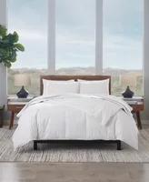 Lightweight Down-Blend Comforter