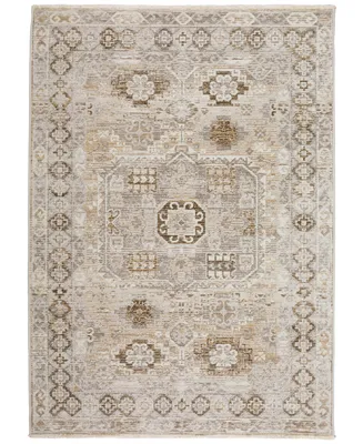 D Style Moises MSS4 9' x 13'2" Area Rug