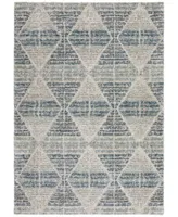 D Style Avilla Avl8 Area Rug