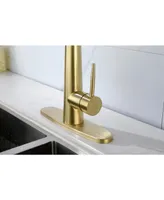 Gold Kitchen Faucets With Pull Down Sprayer, Kitchen Sink Faucet With Pull Out Sprayer