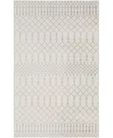 Nourison Home Astra Machine Washable Asw10 Area Rug