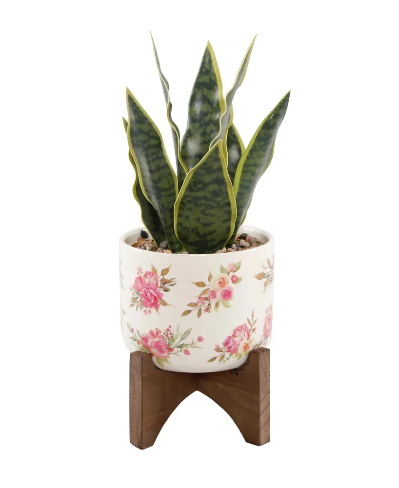 Flora Bunda 12" Snake Plant in Ceramic on Stand