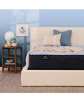 Serta Perfect Sleeper Blue Lagoon Night 13.5" Medium Mattress Set