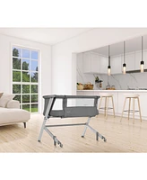 Dream On Me Baby Skylar Bassinet & Bedside Sleeper