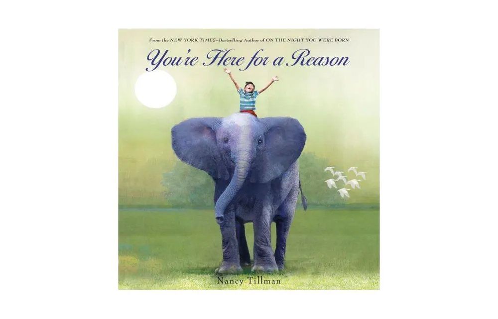 You're Here for a Reason by Nancy Tillman