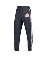 Men's Concepts Sport Charcoal Los Angeles Lakers Team Stripe Jogger Pants