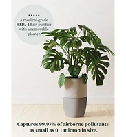 Dupray Bloom Air Purifier, Smart Hepa-13 Medical-Grade Filtration, Large Rooms (1,517 Sq. Ft.) with Integrated Planter