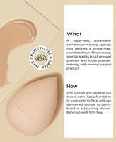 Re-mix Complexion Sponge