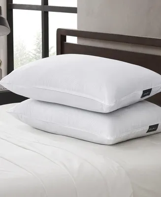 Eddie Bauer 2-Pack Pillow, Standard (A $50.00 Value)