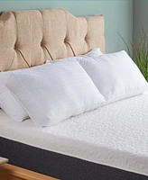 Beyond Down Side Sleeper 2-Pack Pillows