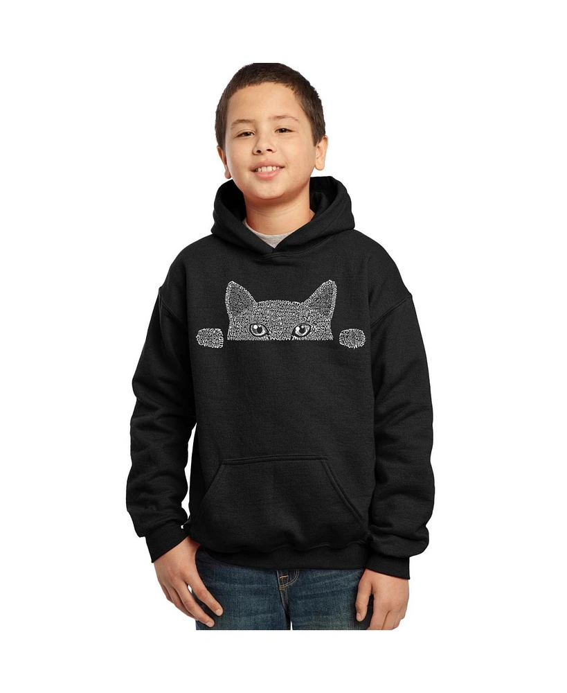 Big Boy's Word Art Hooded Sweatshirt - Peeking Cat