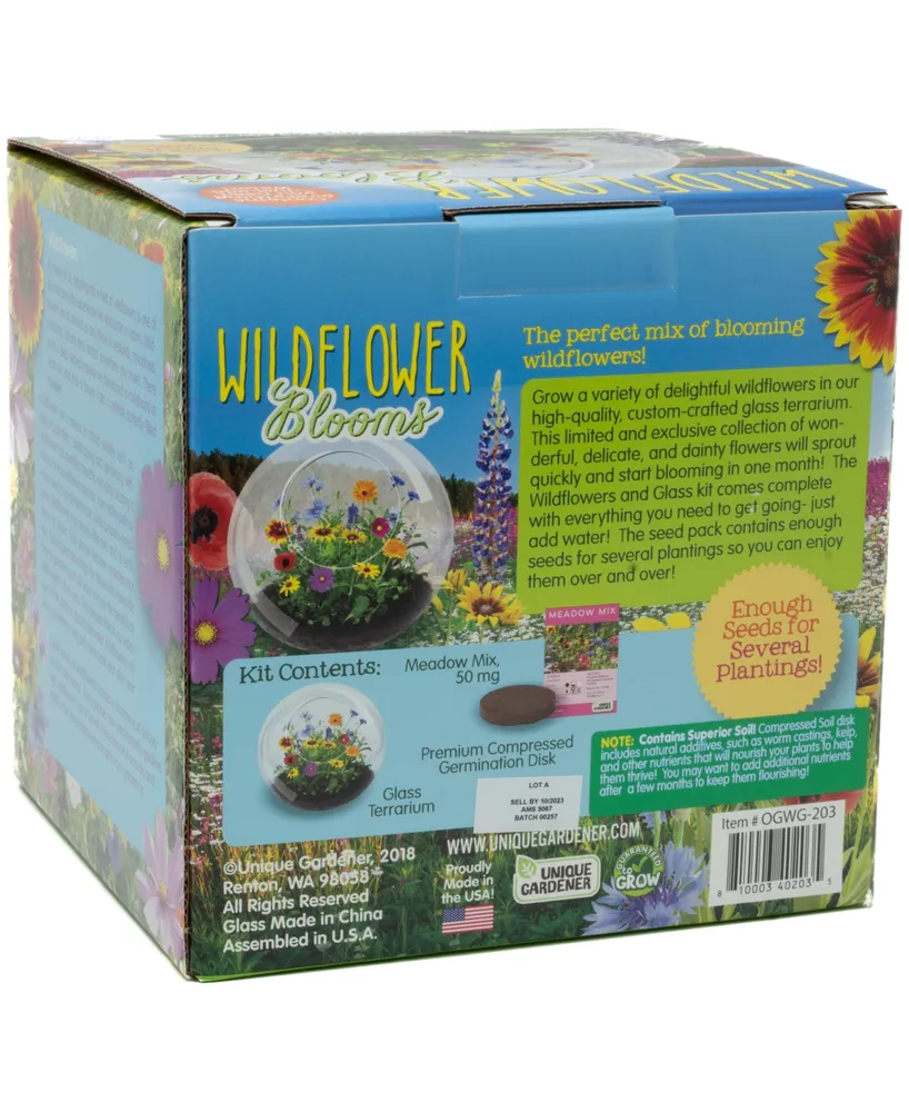 Unique Gardener Glass Terrarium Wildflower Blooms Plant Kit