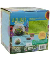 Unique Gardener Glass Terrarium Wildflower Blooms Plant Kit