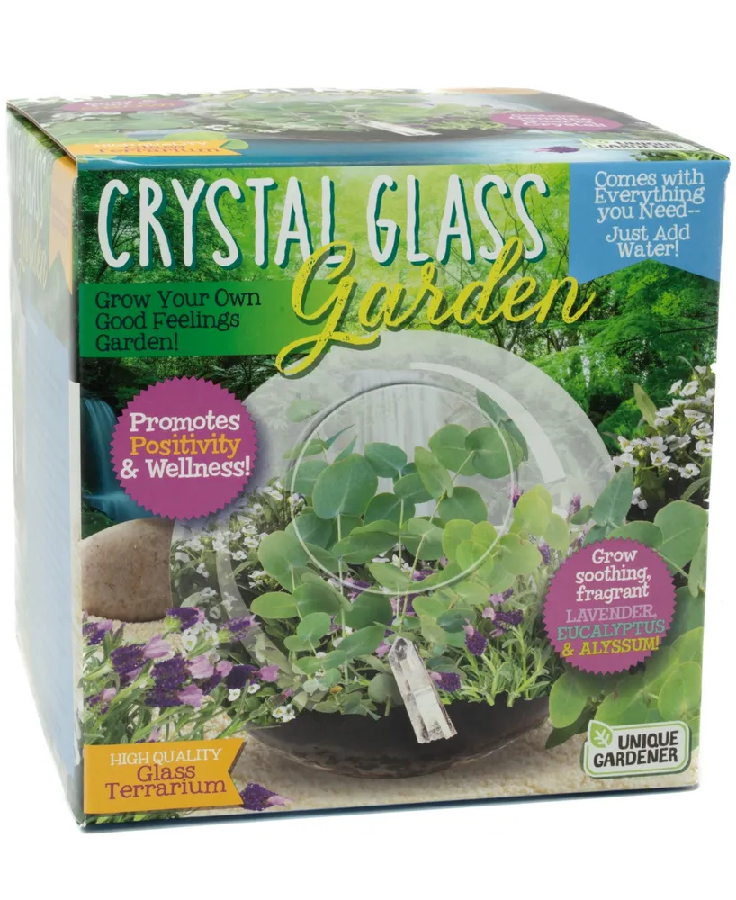 Unique Gardener Glass Terrarium Crystal Glass Garden Plant Kit