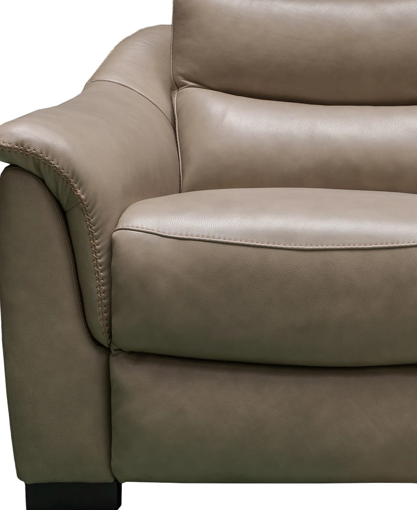 Shelly Leather Power Recliner