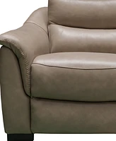 Shelly Leather Power Recliner