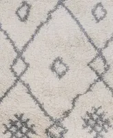 Amer Rugs Asp6 Area Rug