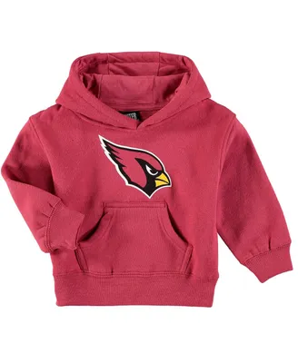 Toddler Boys and Girls Cardinal Arizona Cardinals Team Logo Pullover Hoodie