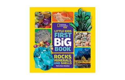 Little Kids First Big Book of Rocks, Minerals Shells by Moira Donohue