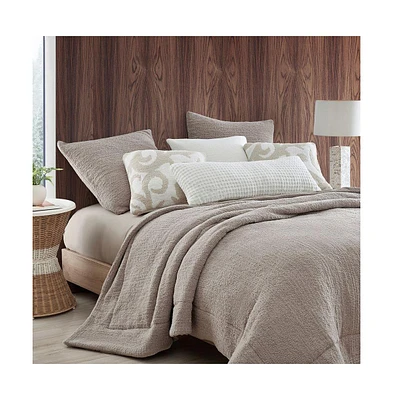 Sunday Citizen Snug Comforter, Twin