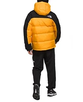 The North Face's Mens Hmlyn Puffer Down Parka