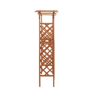 vidaXL Pergola with Gate 45.7"x15.7"x80.3" Solid Firewood