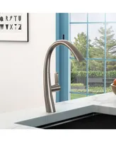 Kitchen Faucet With Pull Out Sprayer, Brushed Nickel
