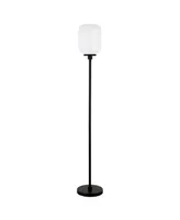 Hudson & Canal Agnolo 69" Glass Shade Tall Floor Lamp