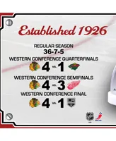 Chicago Blackhawks 2013 Nhl Stanley Cup Final Champions 12'' x 15'' Sublimated Plaque with Game-Used Ice