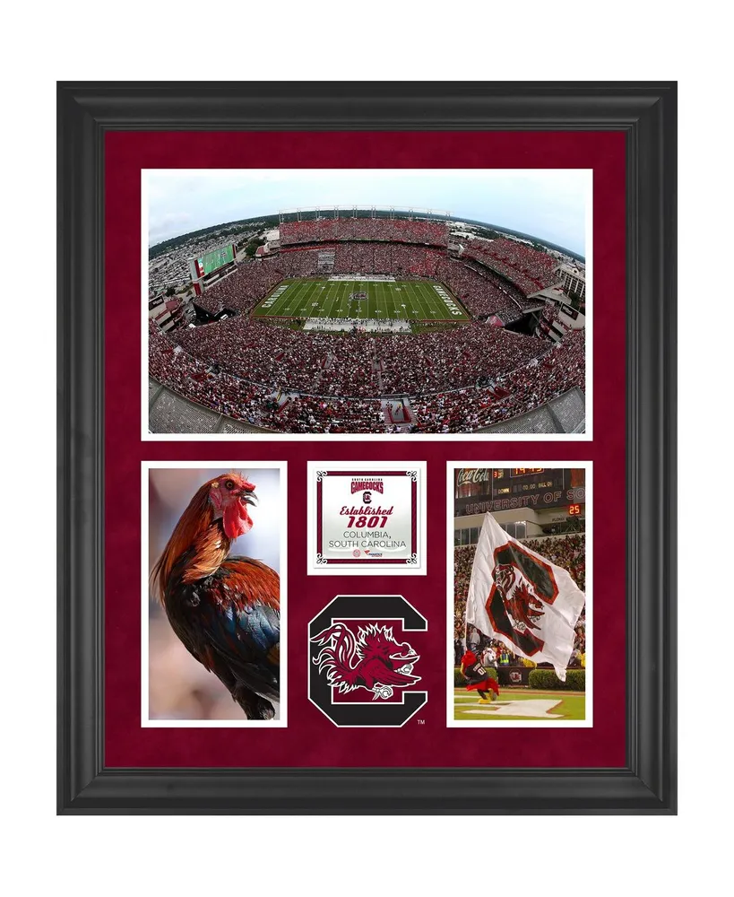 South Carolina Gamecocks Williams-Brice Stadium Framed 20'' x 24'' 3-Opening Collage