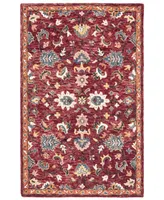 Safavieh Aurora APN147 3' x 5' Area Rug