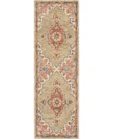 Safavieh Aurora APN506 2'3" x 9' Runner Area Rug