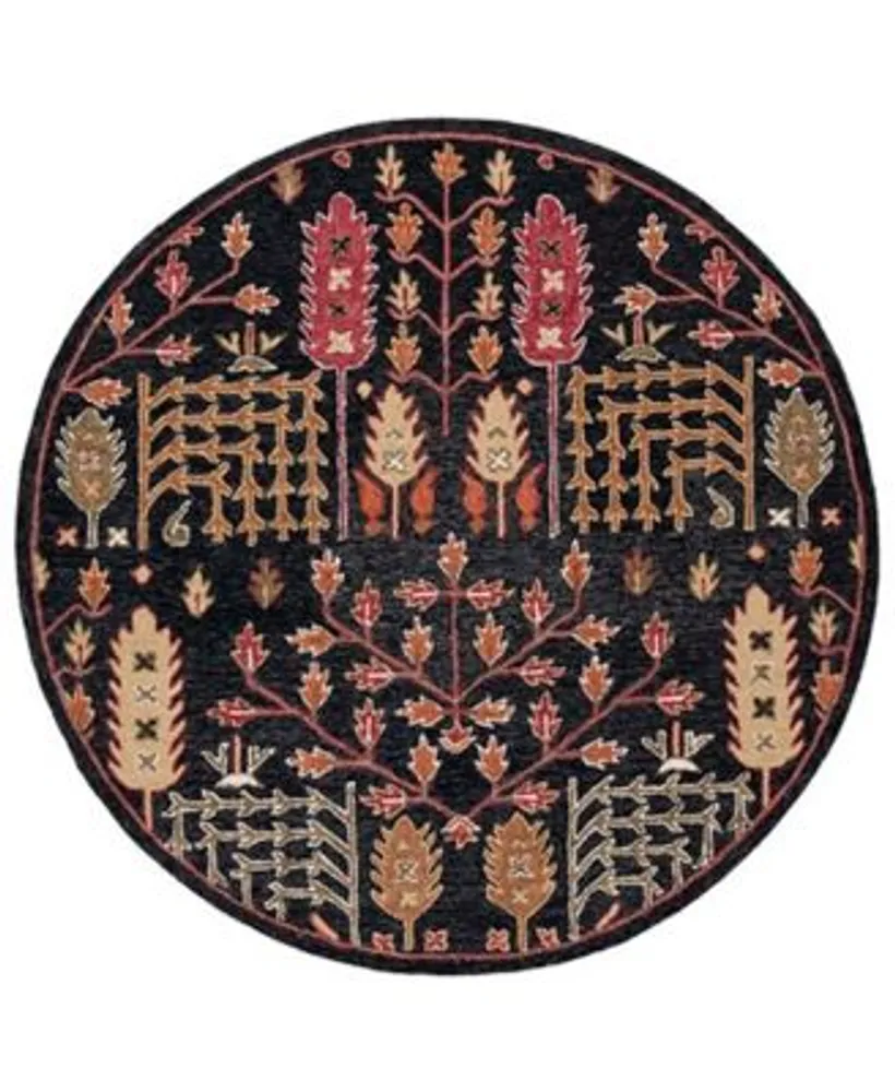 Safavieh Aurora Apn522 Area Rug