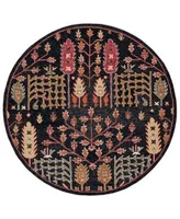 Safavieh Aurora Apn522 Area Rug