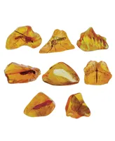 Nsi Smithsonian Amber Dig Science Kit