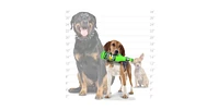 Silly Squeaker Beer Bottle Heinie Sniffn, 2-Pack Dog Toys