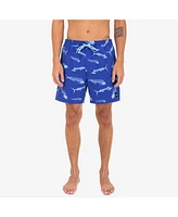 Hurley Men's Cannonball Volley 17" Boardshorts