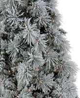 National Tree Company 6.5' Hgtv Home Collection Pre-Lit Flocked Bavarian Pine Tree