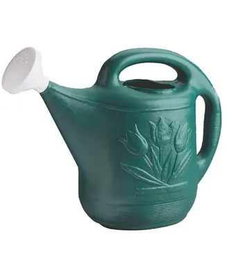 Novelty Classic Plastic Watering Can, Green, 2 Gallon Capacity