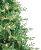 Kurt Adler 7' Pre-Lit Clear Incandescent Jackson Pine Tree