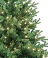 Kurt Adler 5' Warm Led Jackson Pine Tree