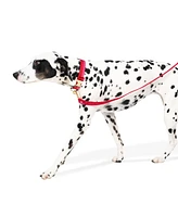 Kate Spade New York Red & Pink Dog Leash