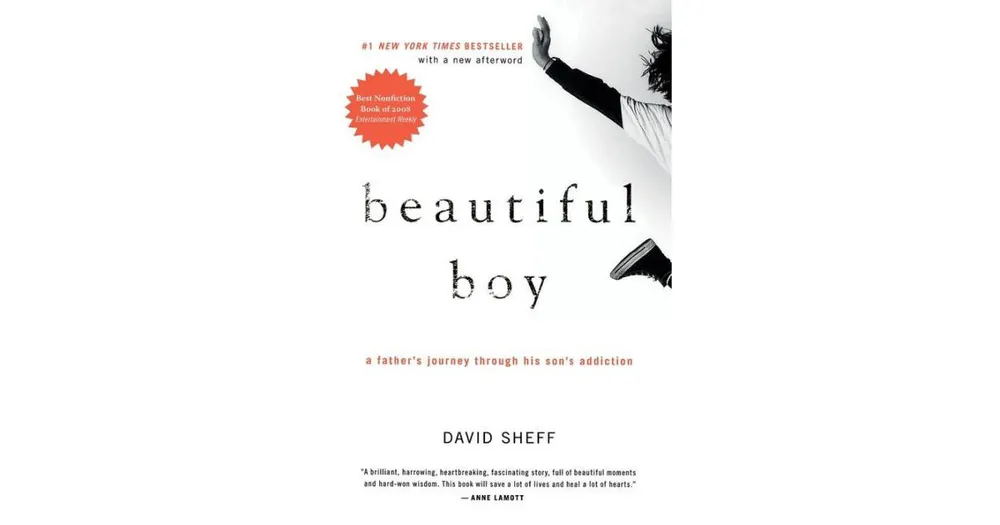 Beautiful Boy- A Father's Journey Through His Son's Addiction by David Sheff