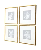 Echinacea Framed Art, Set of 4